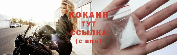 spice Губаха
