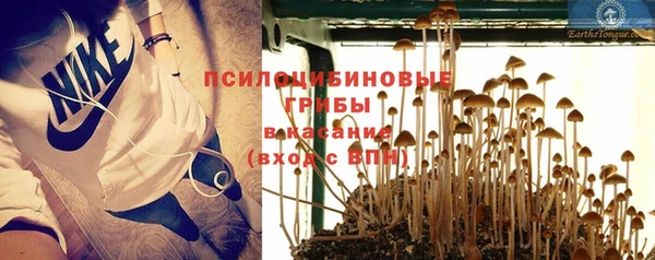 каннабис Заводоуковск