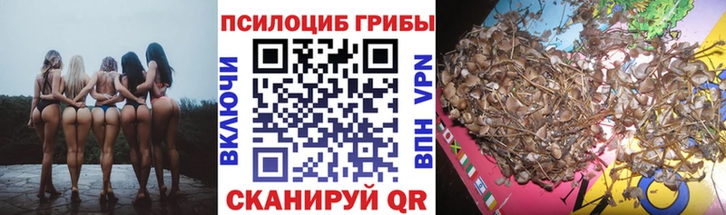 Псилоцибиновые грибы Psilocybine cubensis Заречный