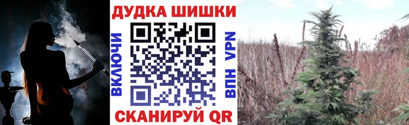 магазин продажи   Заречный  Конопля Ganja 